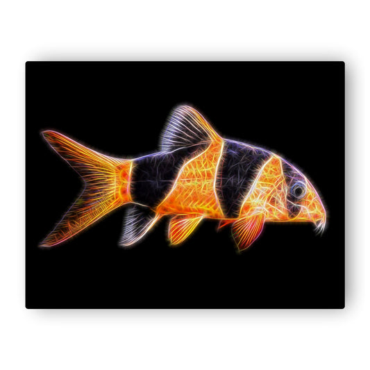 Clown Loach Print with Stunning Fractal Art Design. Chromobotia macracanthus