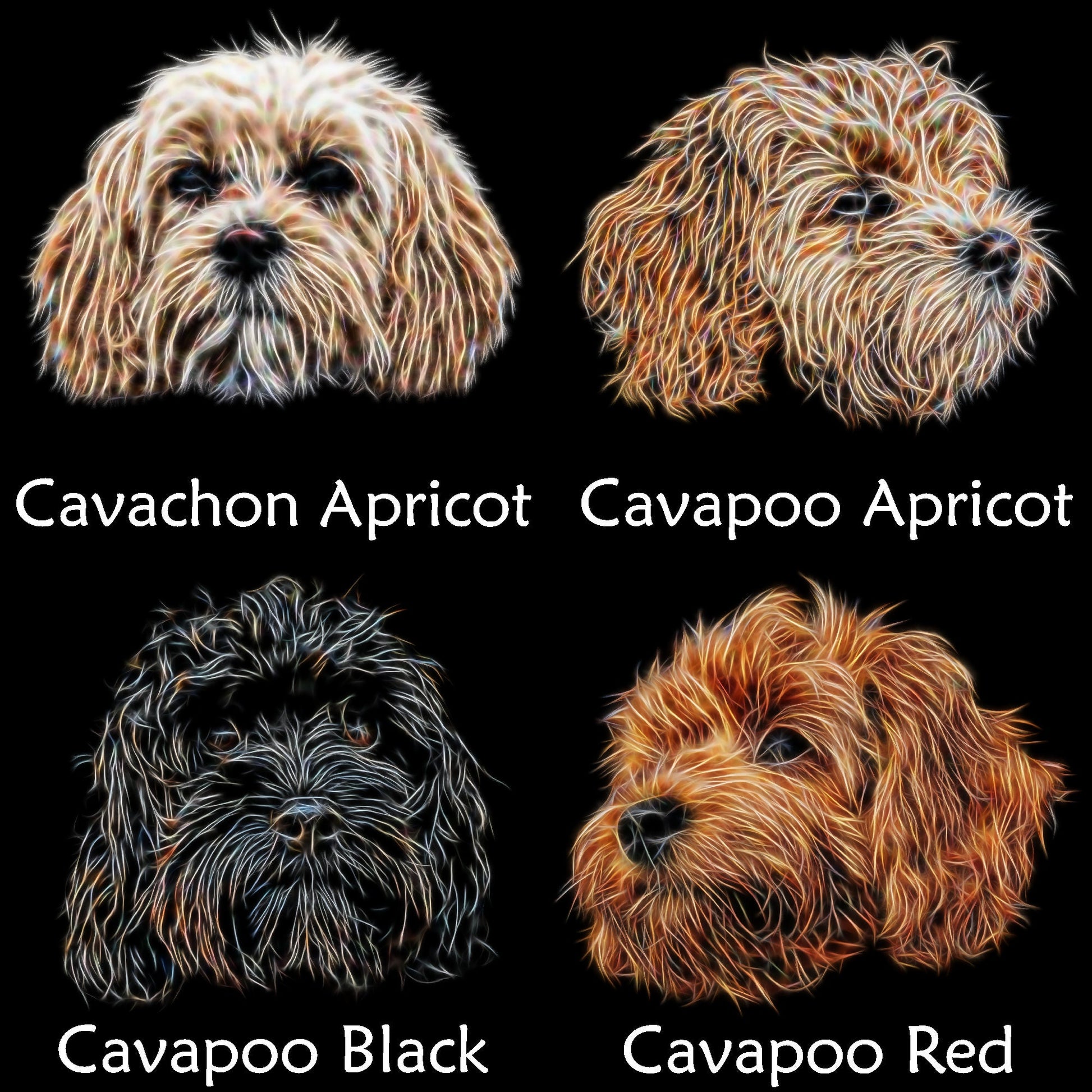 Designer Cross Breed Coaster. Various Breeds including Cockapoo Labradoodle Cavapoo Cavachon Chorkie Sprocker and more