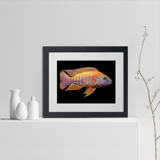 Ruby Red Peacock Cichlid Fish Print with Stunning Fractal Art Design. Aulonocara