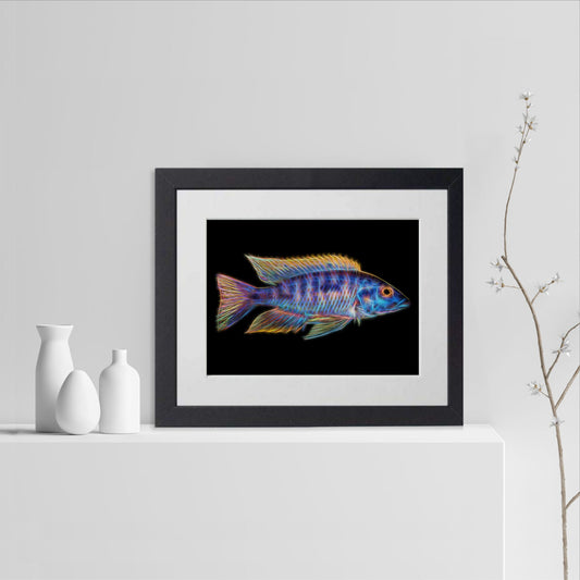Blue Gold Orange Shoulder Peacock Cichlid Fish Print with Stunning Fractal Art Design. Aulonocara