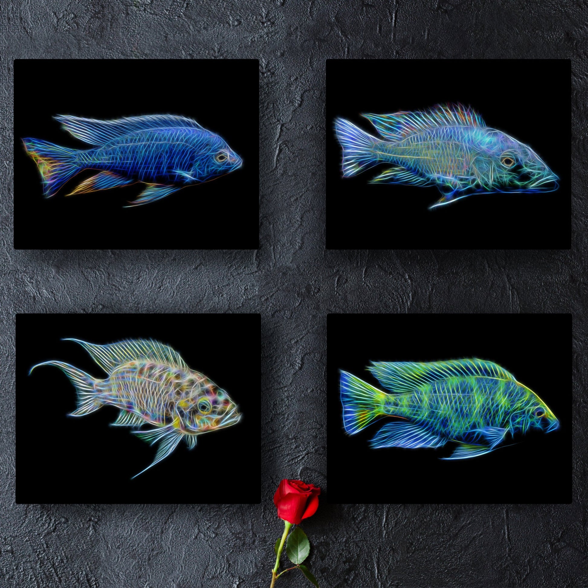Cichlid Prints with Stunning Fractal Art Design.