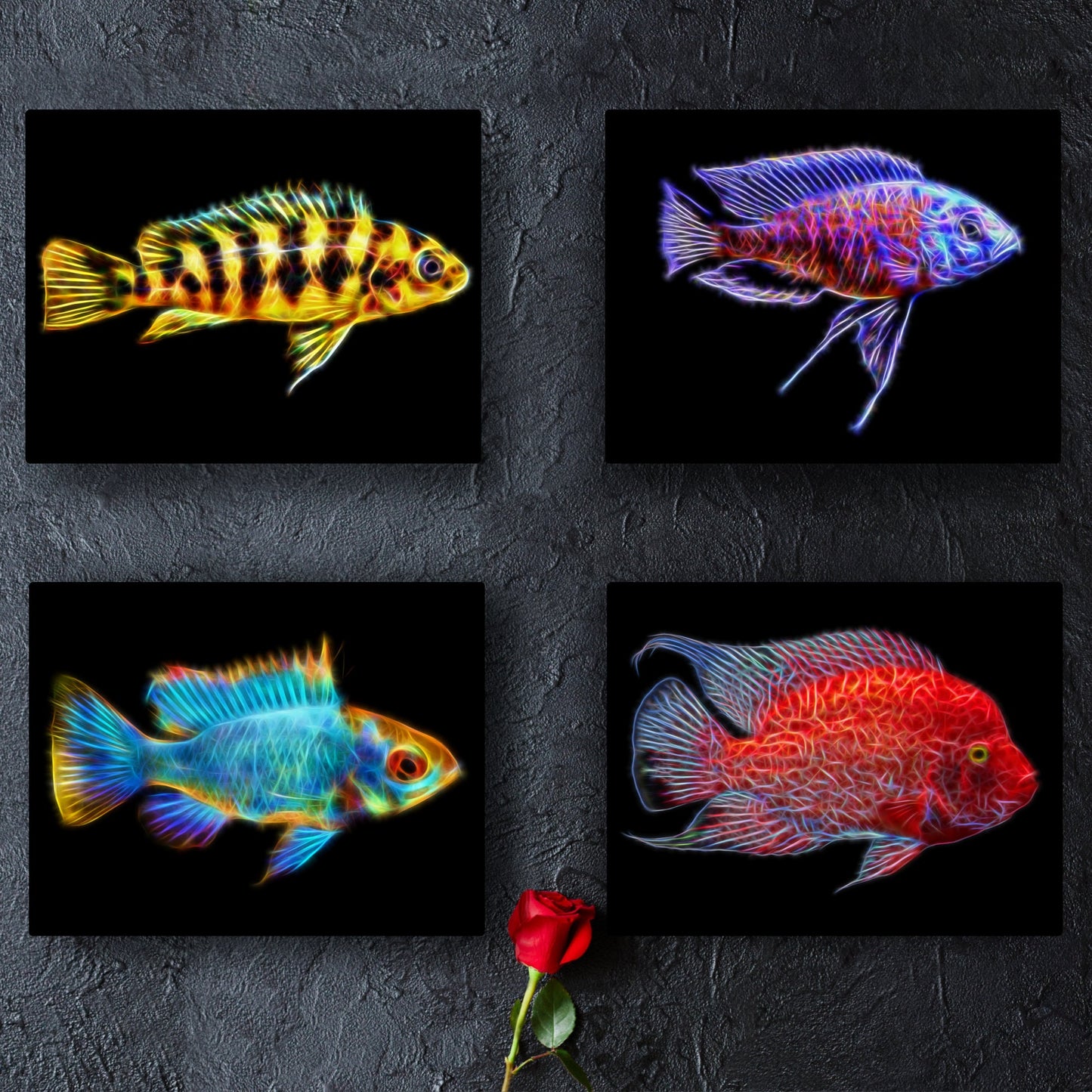 Cichlid Print with Stunning Fractal Art Design.