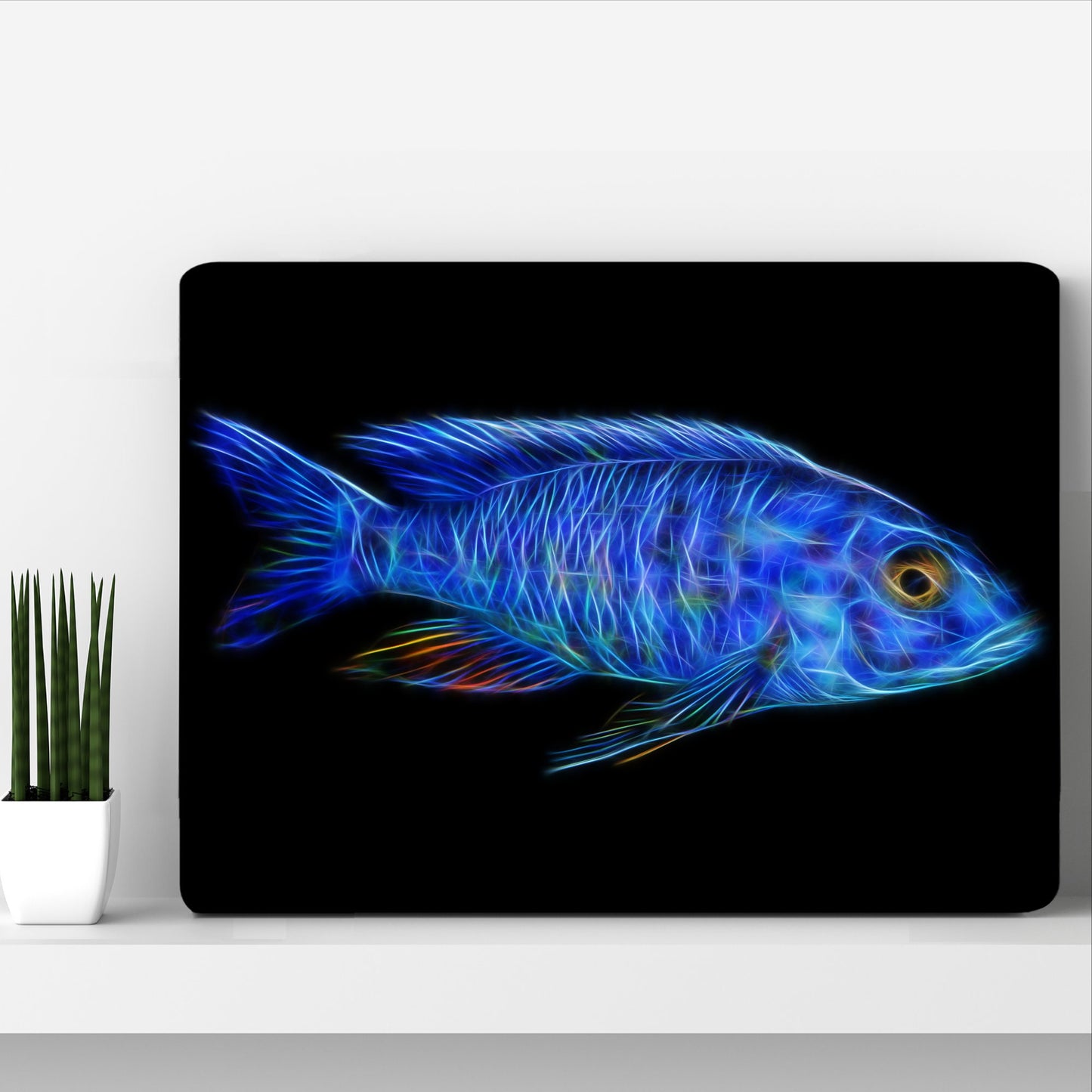 Electric Blue Hap Cichlid Aluminium Metal Wall Plaque with Stunning Fractal Art Design. Sciaenochromis Fryeri