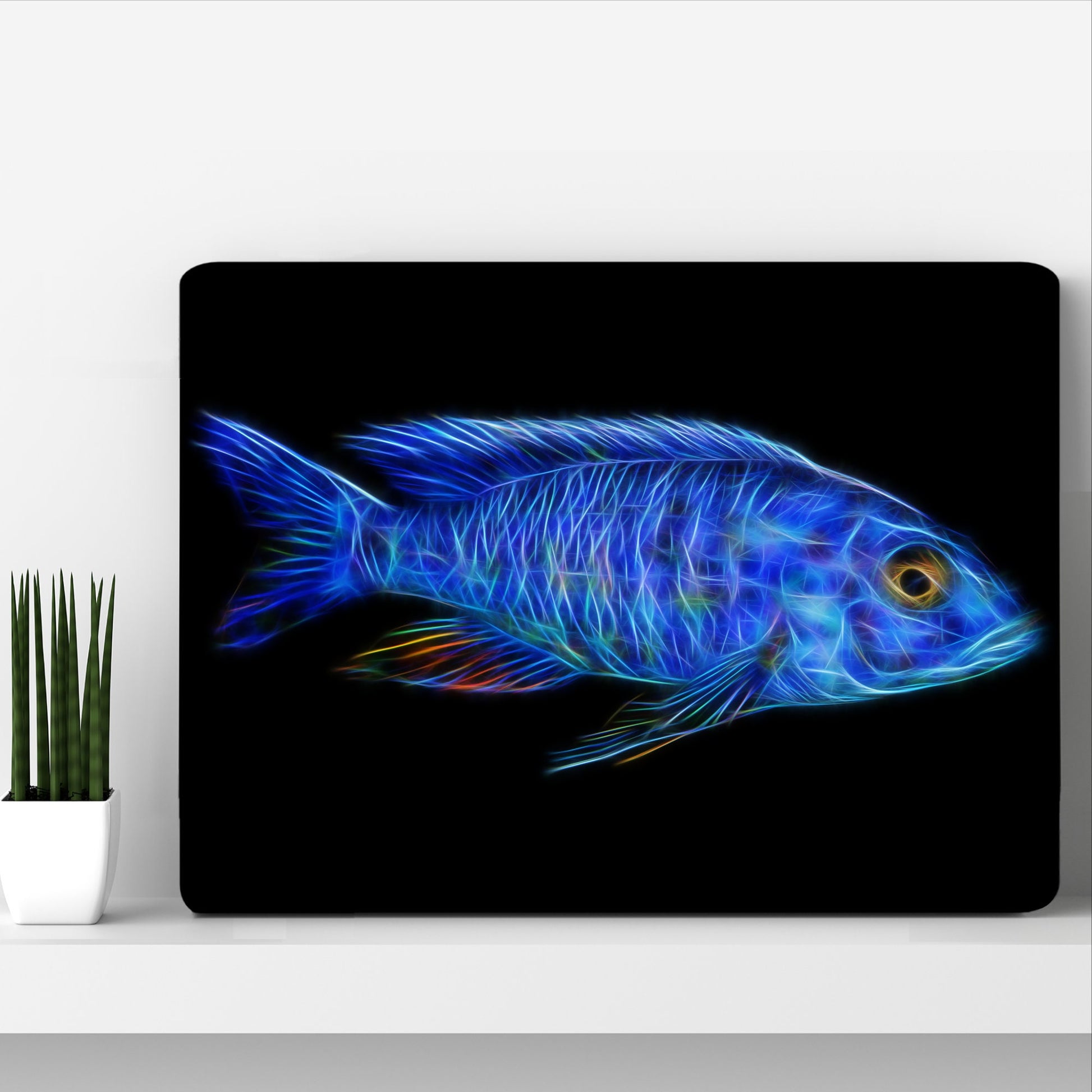 Electric Blue Hap Cichlid Aluminium Metal Wall Plaque with Stunning Fractal Art Design. Sciaenochromis Fryeri