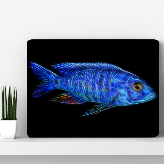 Electric Blue Hap Cichlid Aluminium Metal Wall Plaque with Stunning Fractal Art Design. Sciaenochromis Fryeri