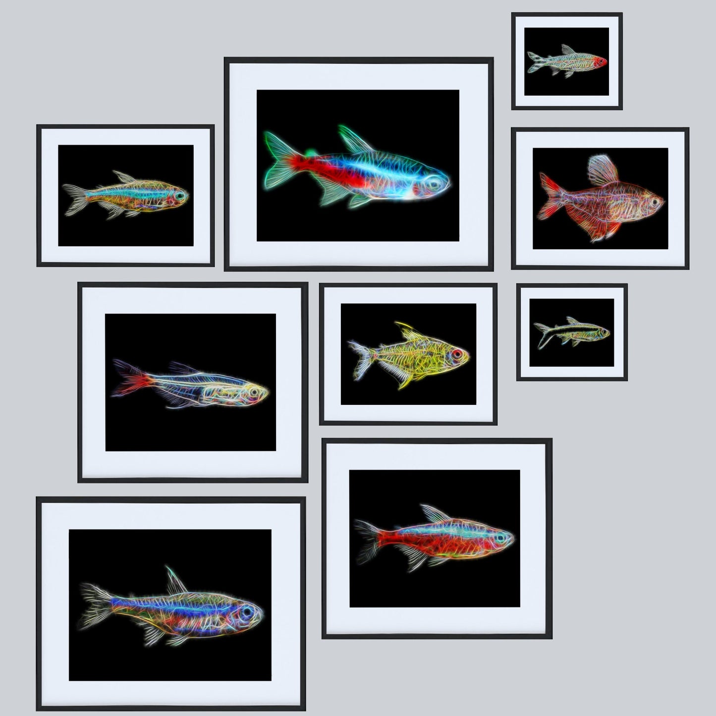 Tetra Fish Prints with Stunning Fractal Art Designs.