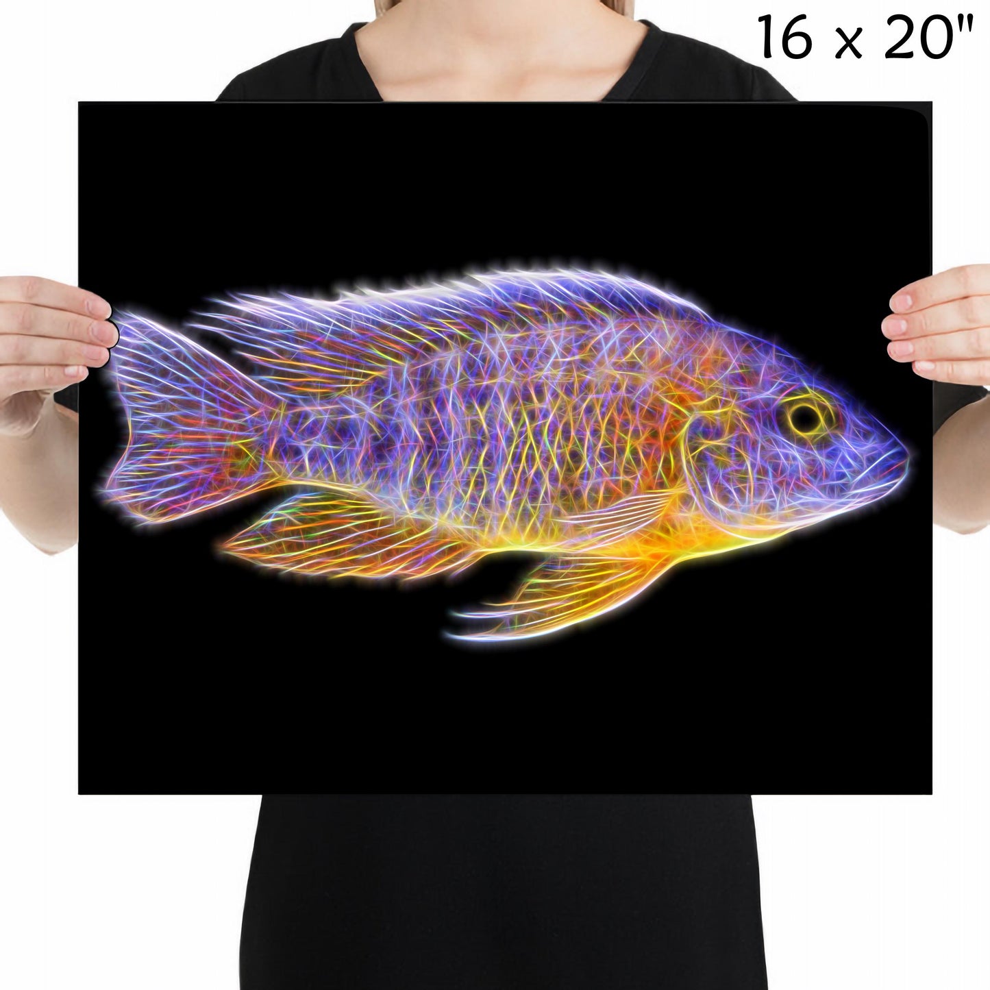 Jacobfreibergi Nkudzi Peacock Cichlid Fish Print with Stunning Fractal Art Design. Aulonocara