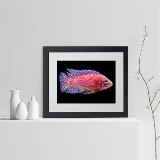 Dragon Blood Peacock Cichlid Fish Print with Stunning Fractal Art Design. Aulonocara
