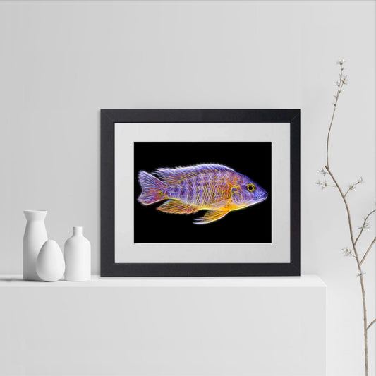 Jacobfreibergi Nkudzi Peacock Cichlid Fish Print with Stunning Fractal Art Design. Aulonocara