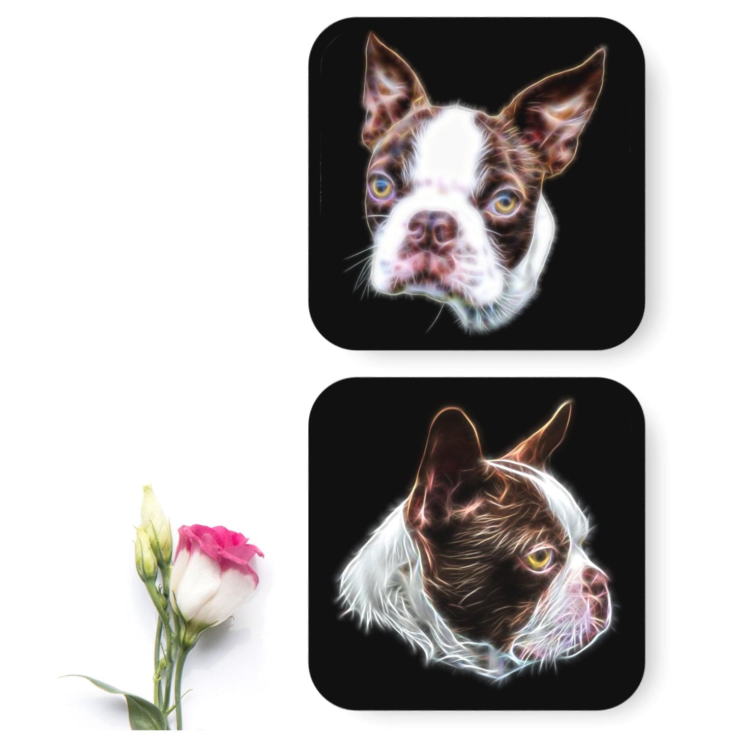 Brown and White Boston Terrier Coasters, Set of 2, with Stunning Fractal Art Design.