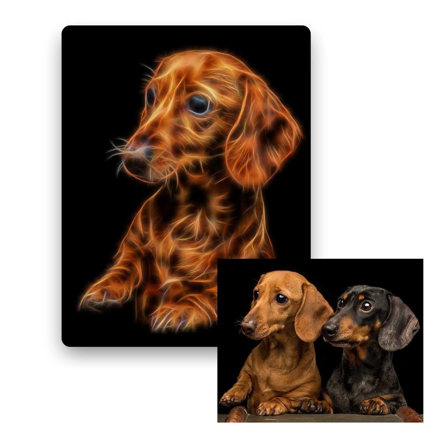 Custom Metal Wall Plaque of your Pet in Fractal Art Style.
