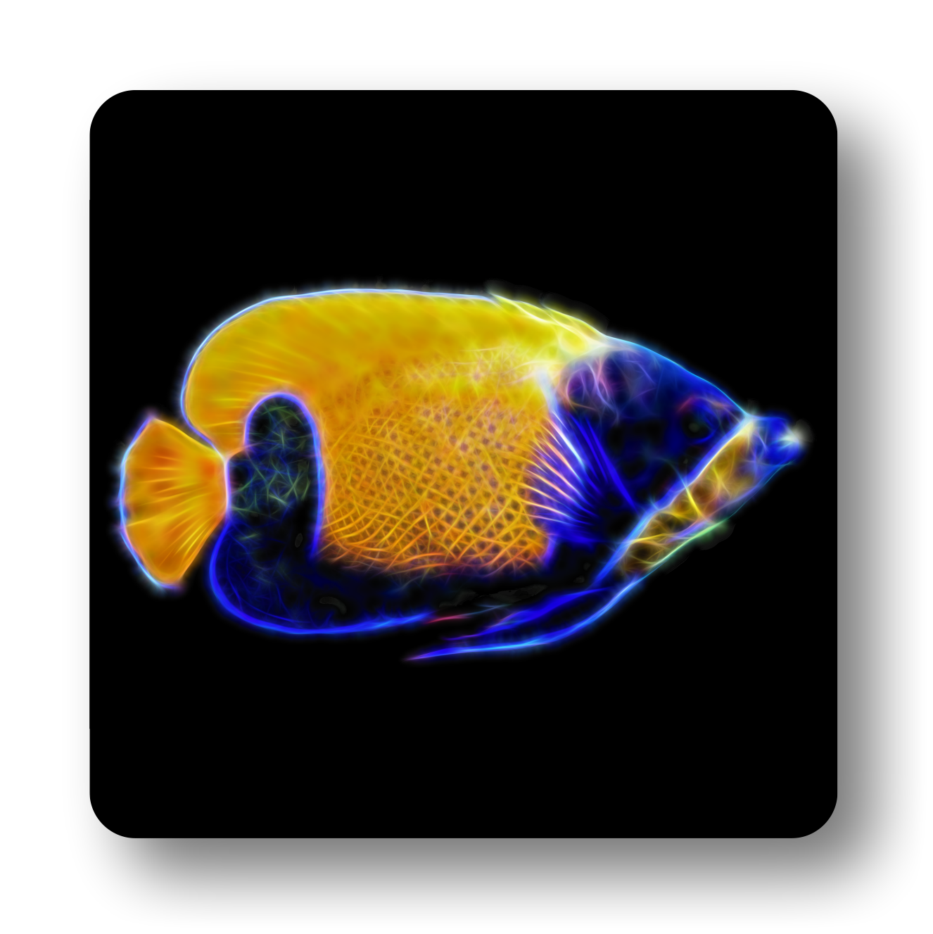 Angelfish Coasters - Various Designs