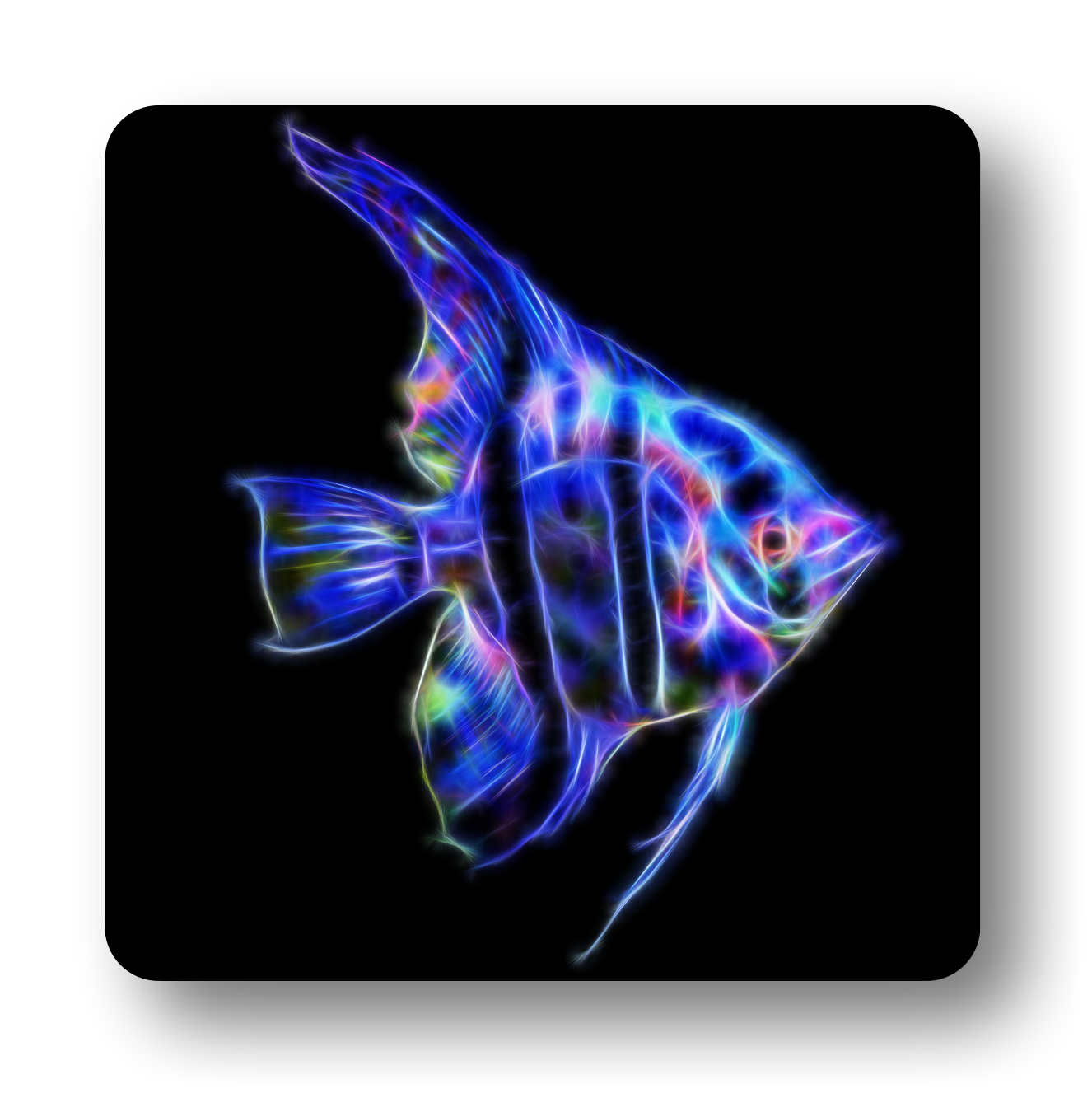 Angelfish Coasters - Various Designs