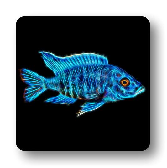 Cichlid Fish Coasters - Various Designs