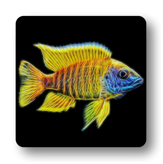 Cichlid Fish Coasters - Various Designs