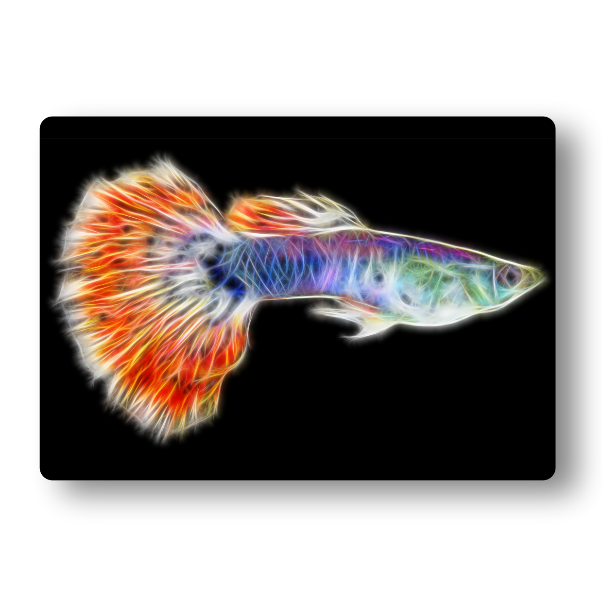 Guppy Fish (Mosaic) Fractal Art Metal Wall Plaque