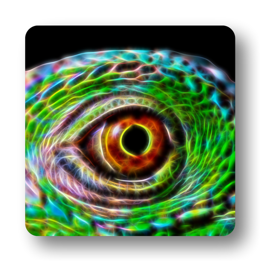 Reptile Coaster