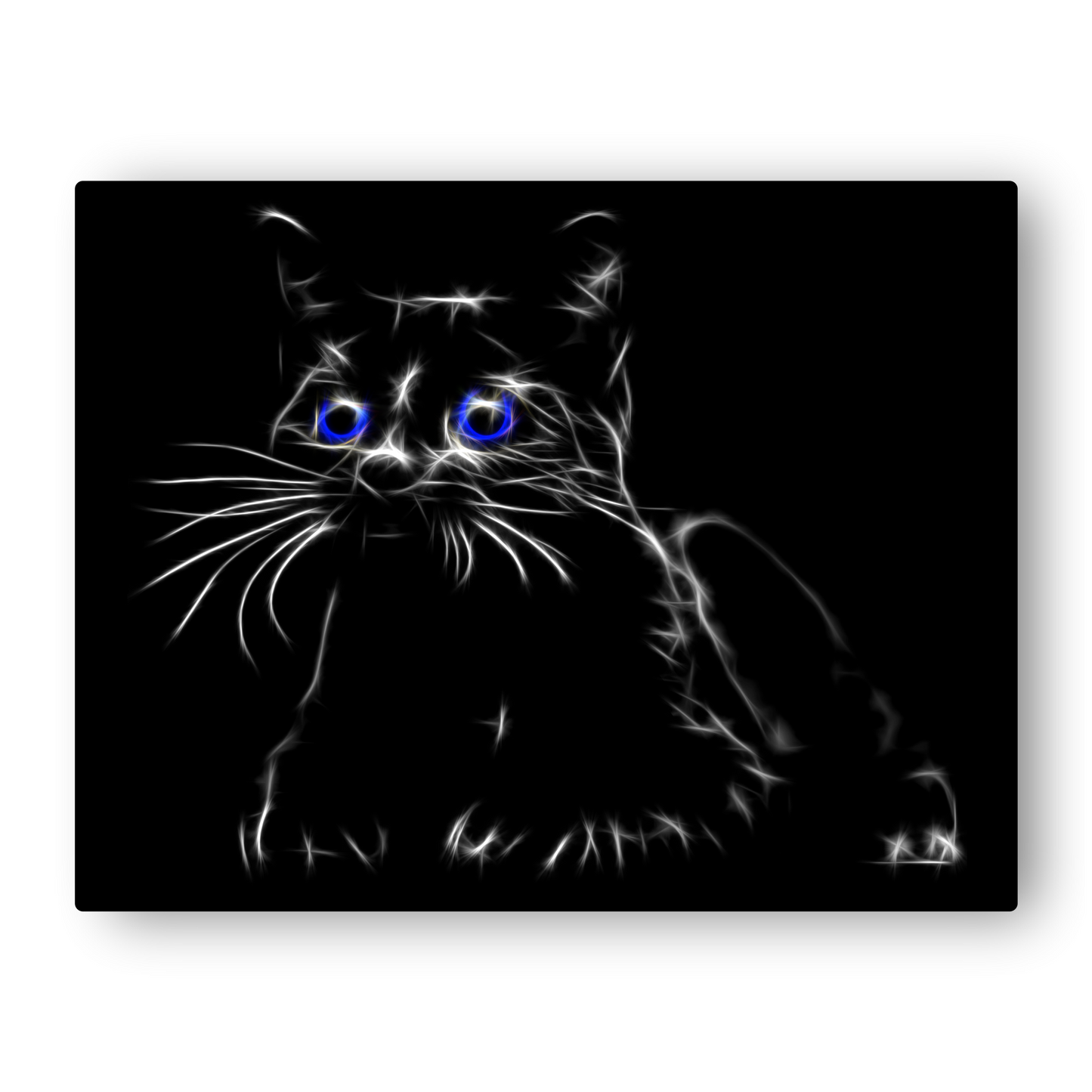 Blue Eye Black Cat Aluminium Metal Wall Plaque