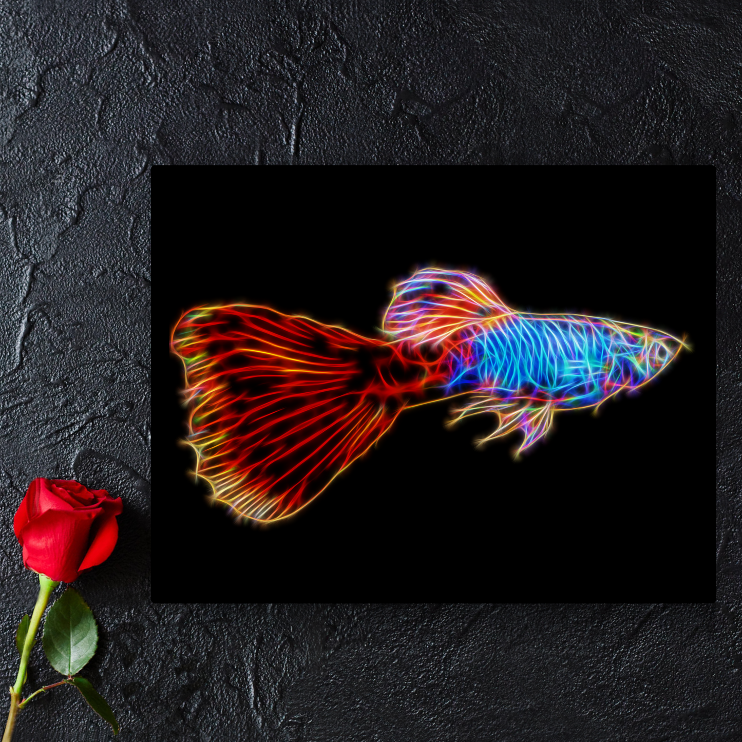Red Tail Guppy Aluminium Metal Wall Plaque