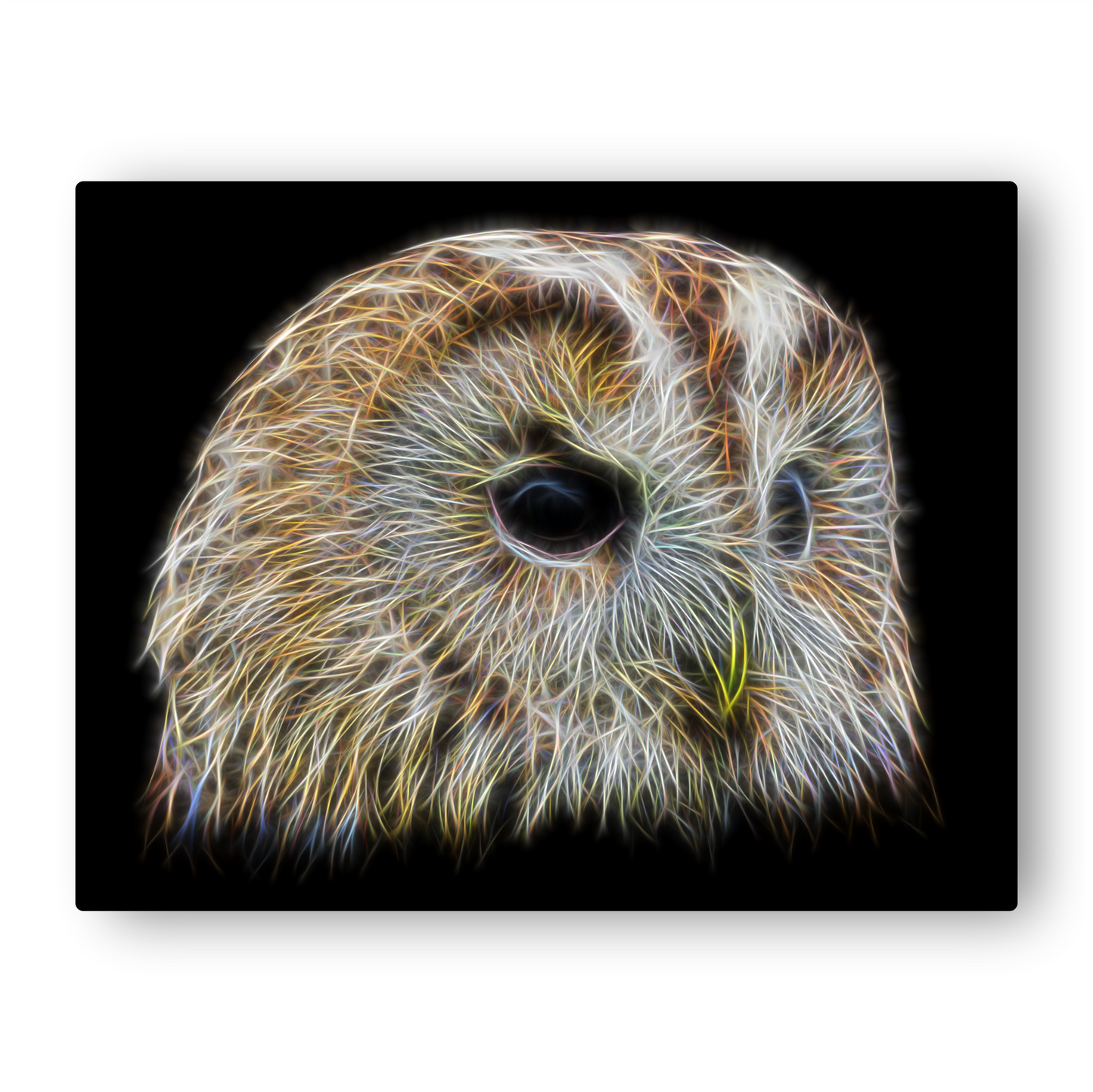 Tawny Owl Metal Wall Plaque with Fractal Art Design
