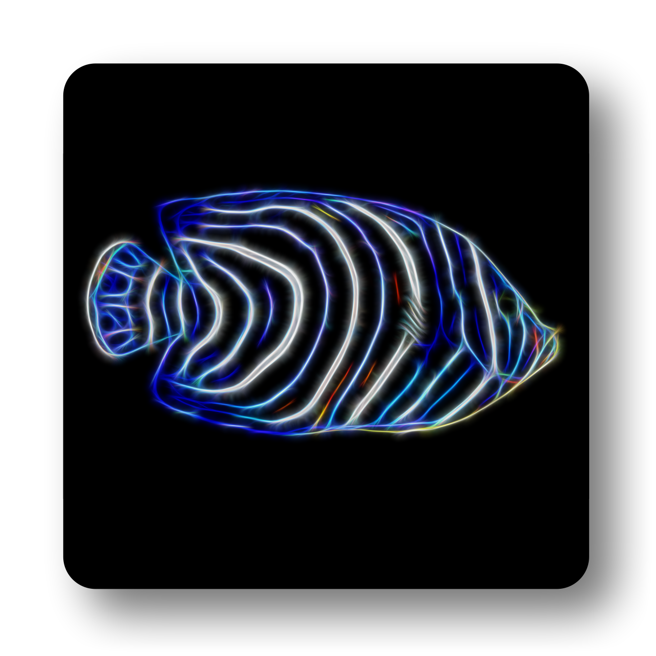 Angelfish Coasters - Various Designs