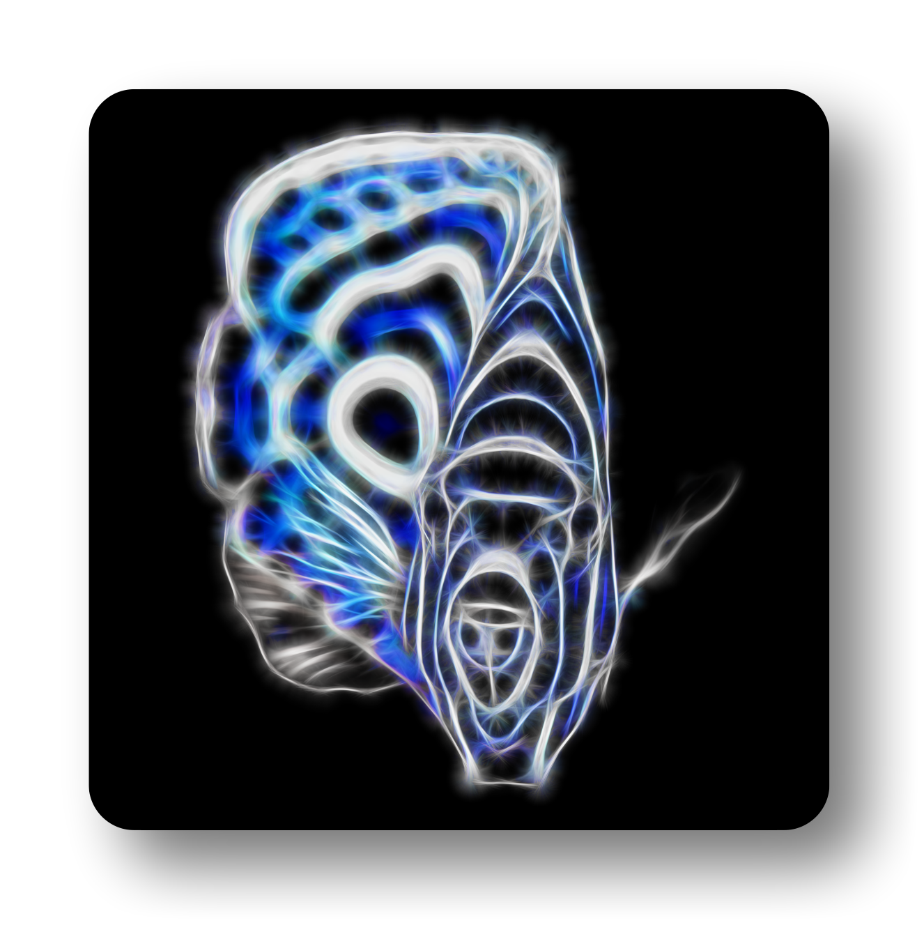 Angelfish Coasters - Various Designs