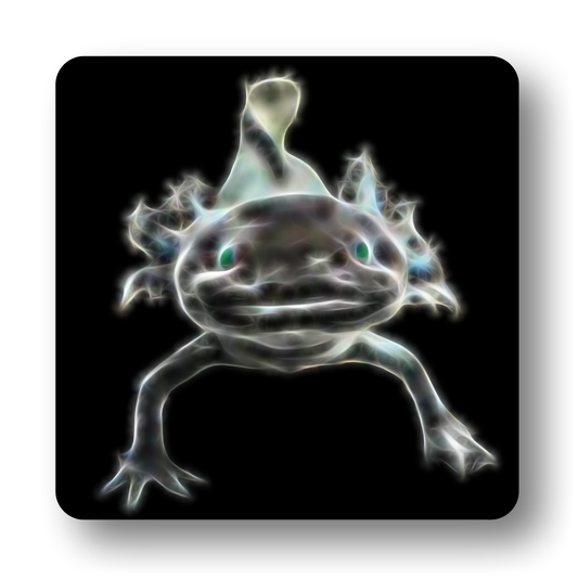 black Axolotl