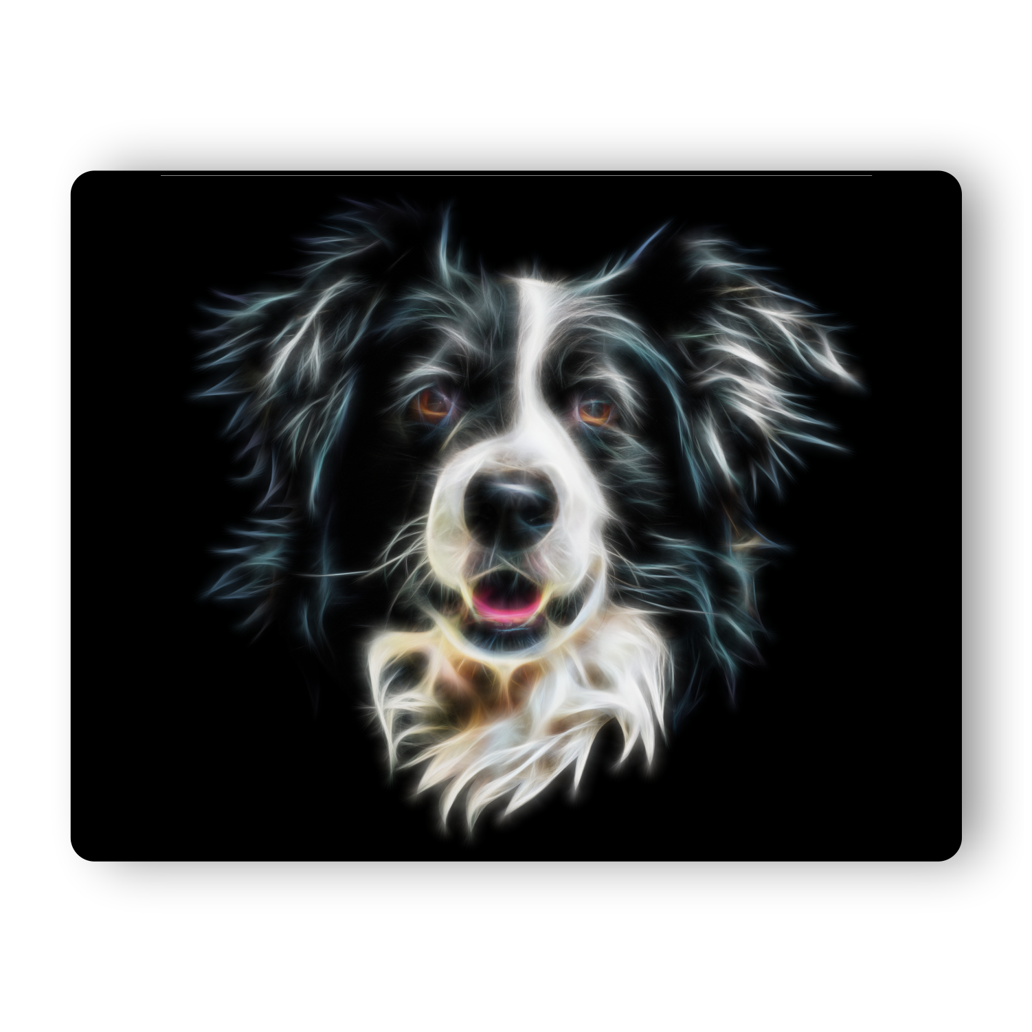 Border Collie Metal Wall Plaque