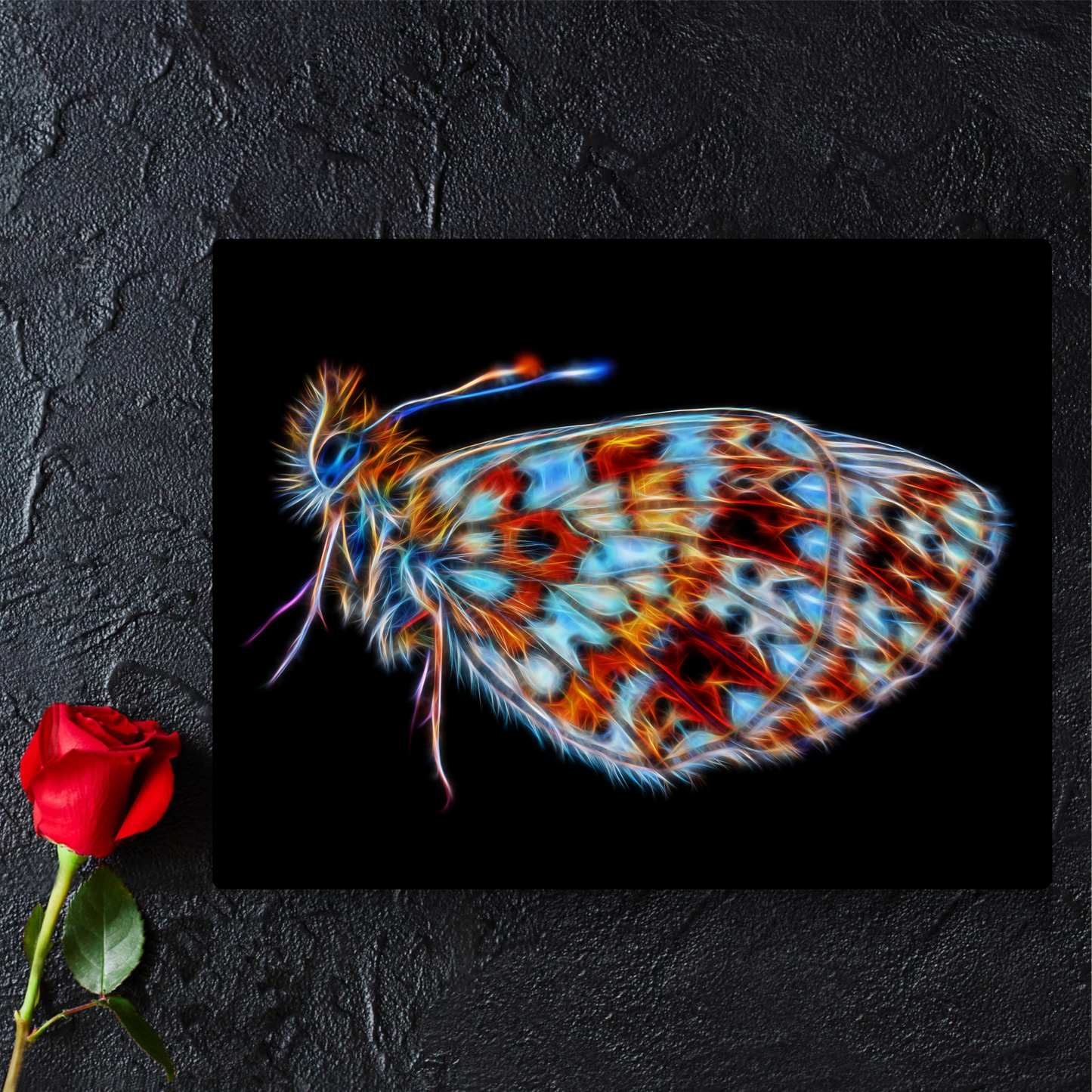 Butterfly Metal Wall Plaque