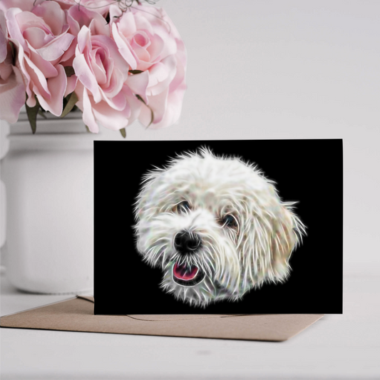 Coton De Tulear Greeting Card Blank Inside for Birthdays or any other Occasion