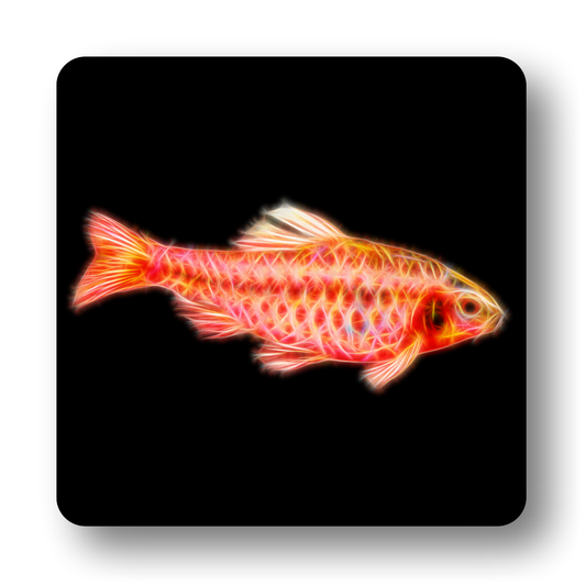 Freshwater Aquarium Fish Coasters - Various Designs