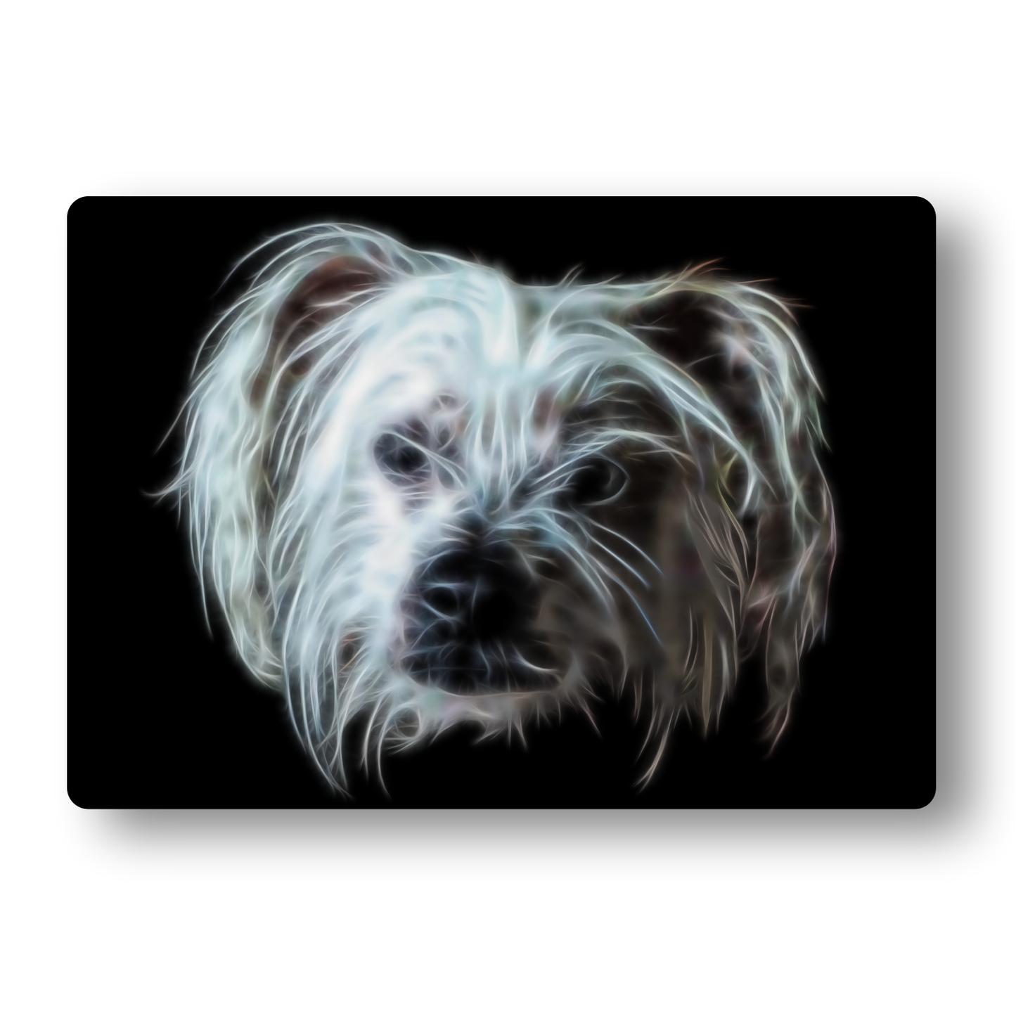 Chinese Crested Dog Metal Wall Plaque