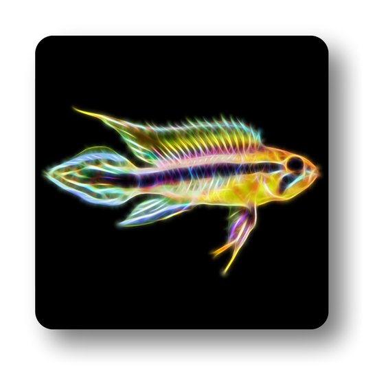 Cichlid Fish Coasters - Various Designs