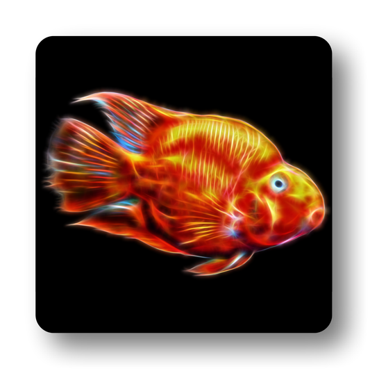Cichlid Fish Coasters - Various Designs