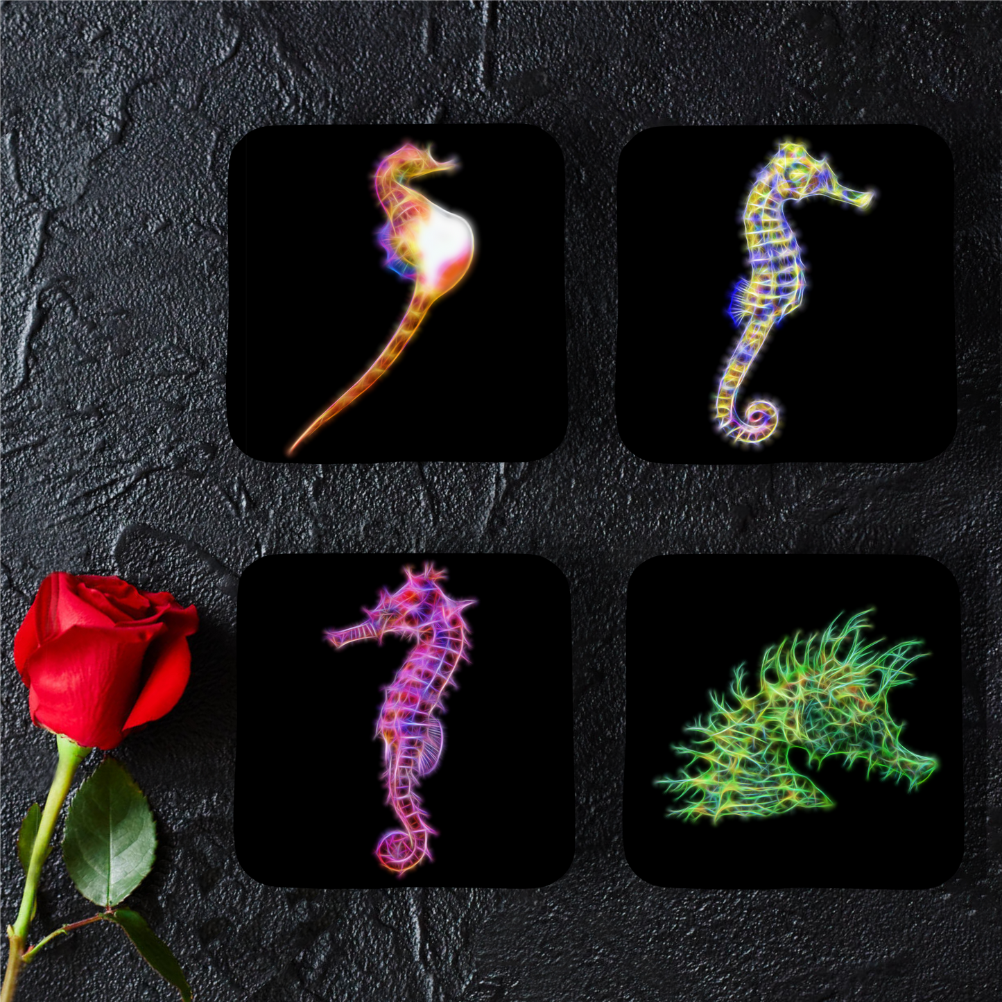 Seahorse Coasters - Various Designs