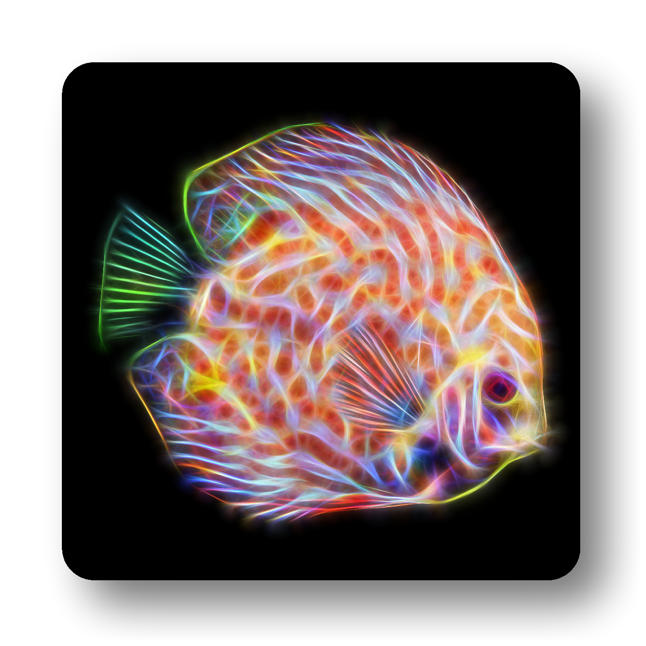 Discus Fish Coasters - Various Designs