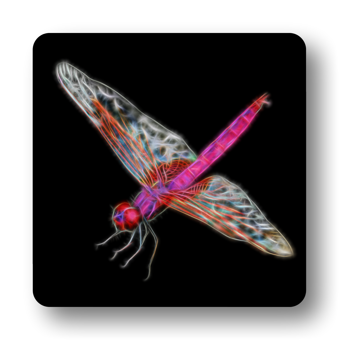 Dragonfly Coaster Set