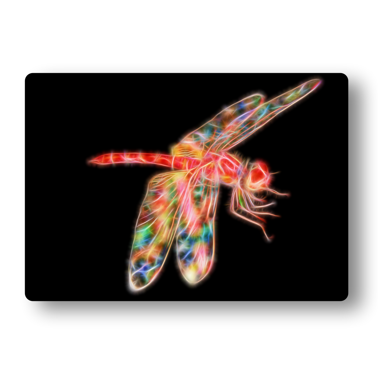 Dragonfly Metal Wall Plaque