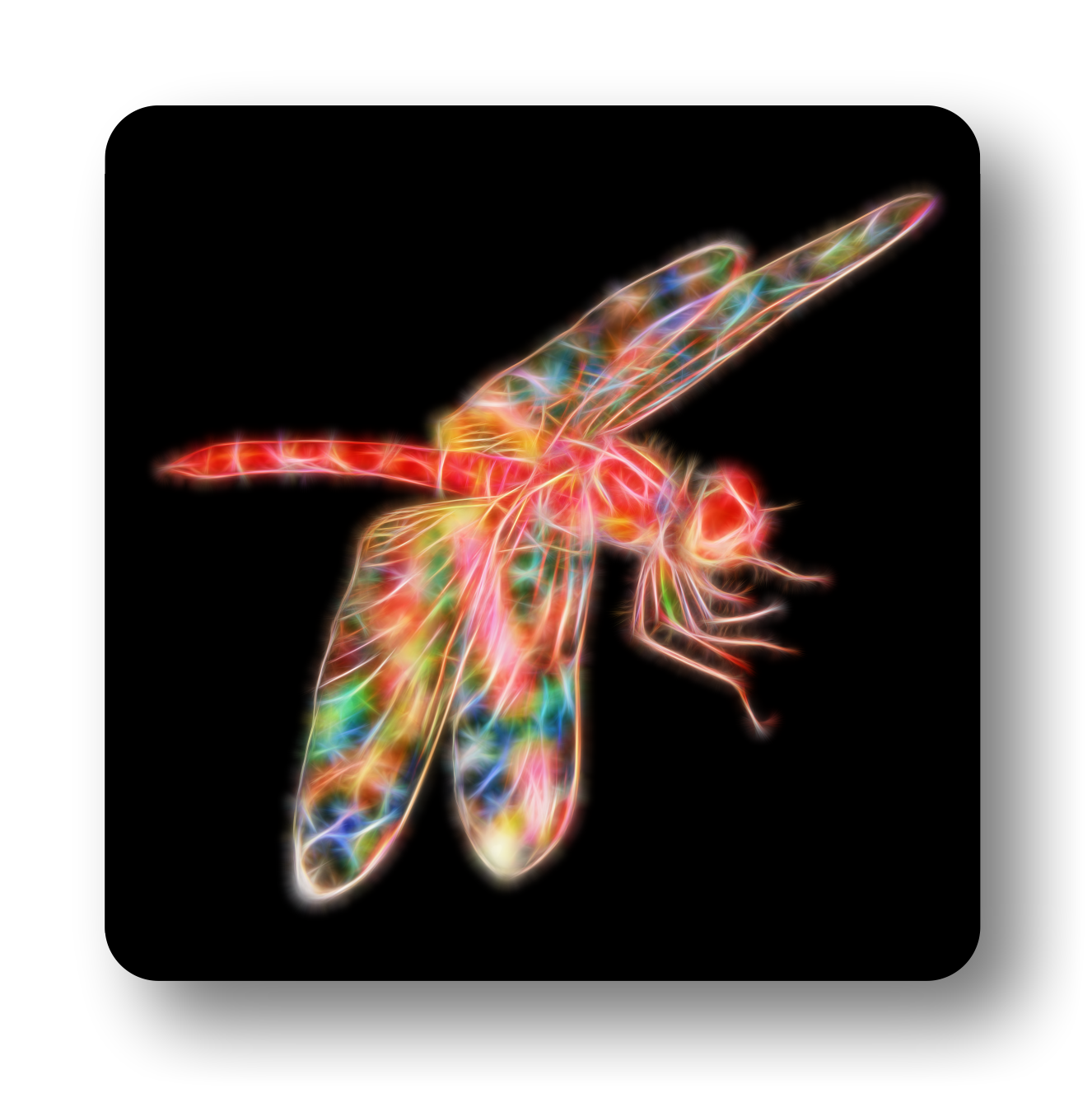 Dragonfly Coaster Set