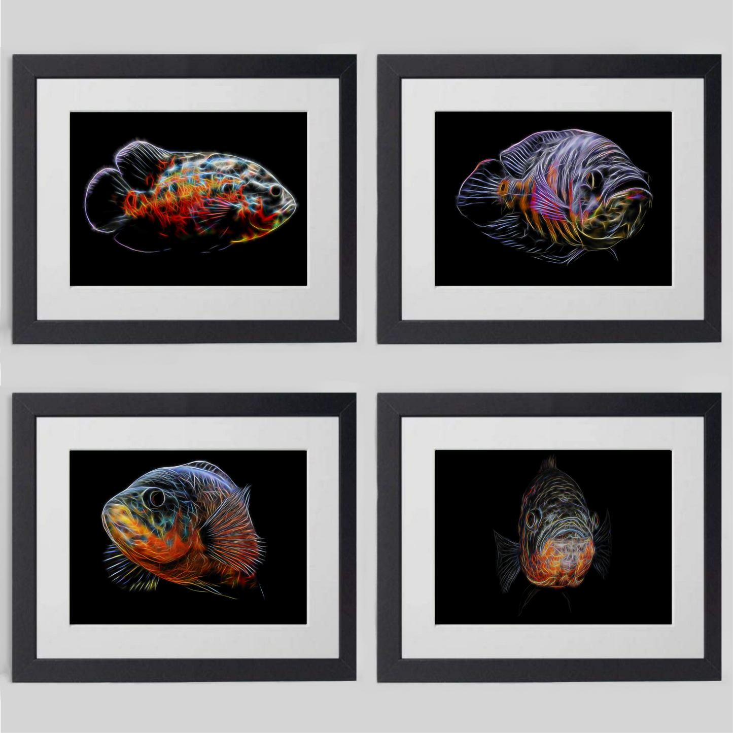 Tiger Oscar Fish Print with Stunning Fractal Art Design Astronotus ocellatus