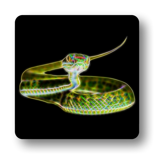 Reptile Coaster
