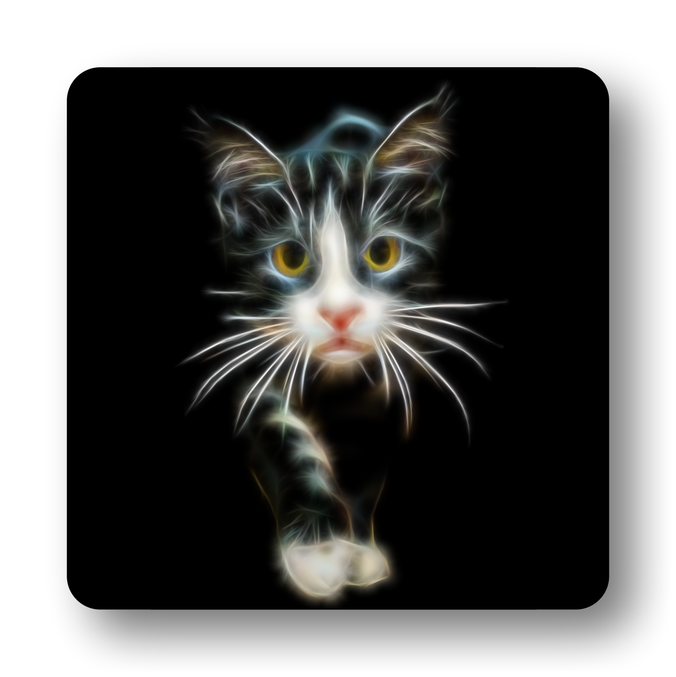 Grey Tabby Cat Coaster