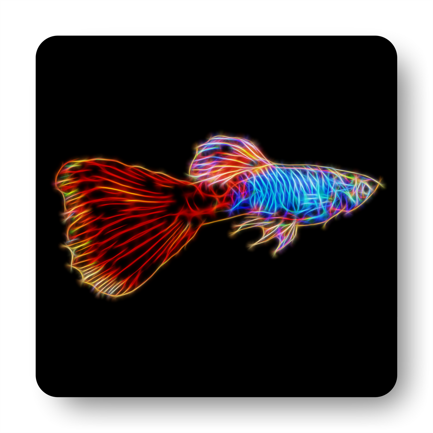 Guppy Fish Coasters - Various Designs