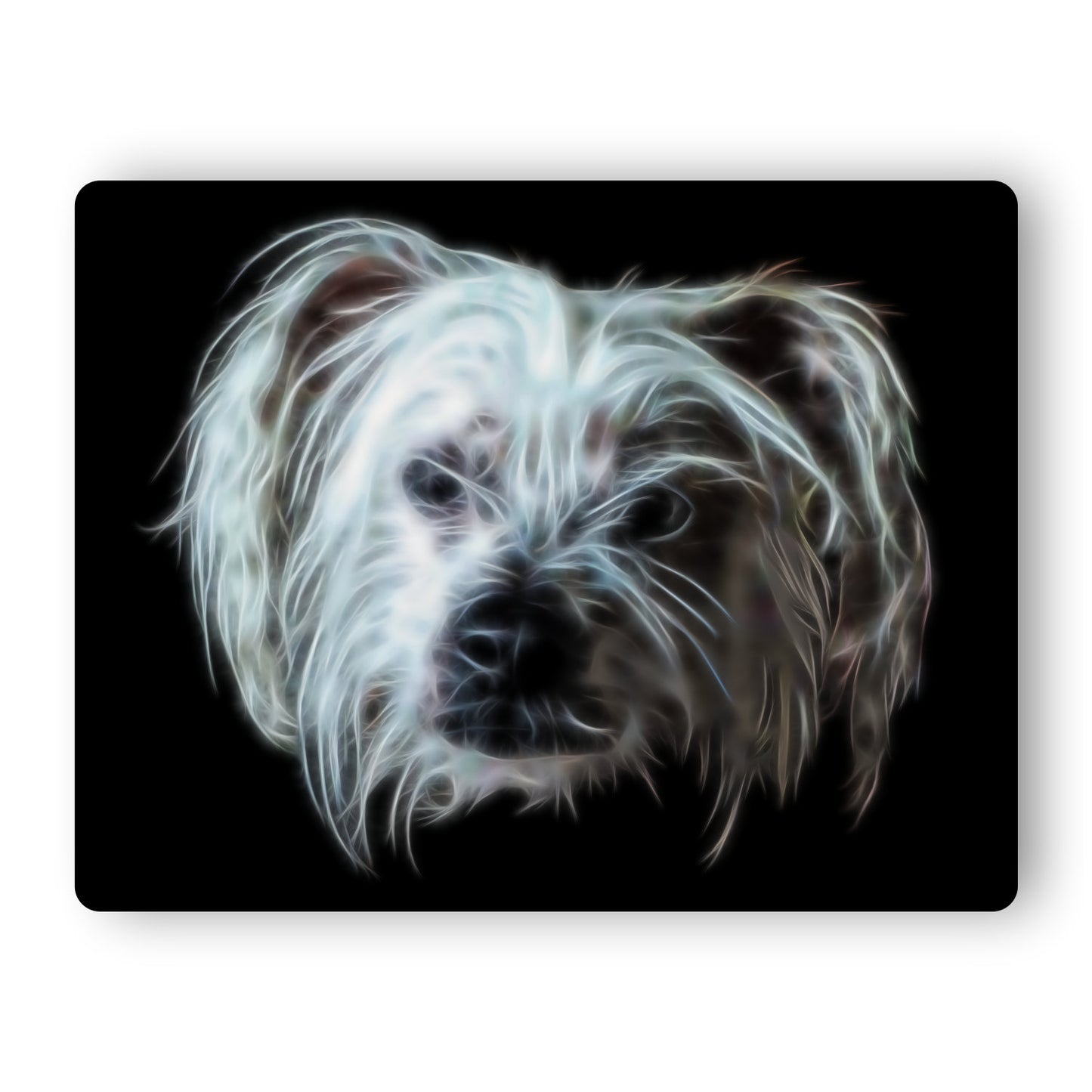 Chinese Crested Dog Aluminium Metal Wall Plaque with Stunning Fractal Art Design.