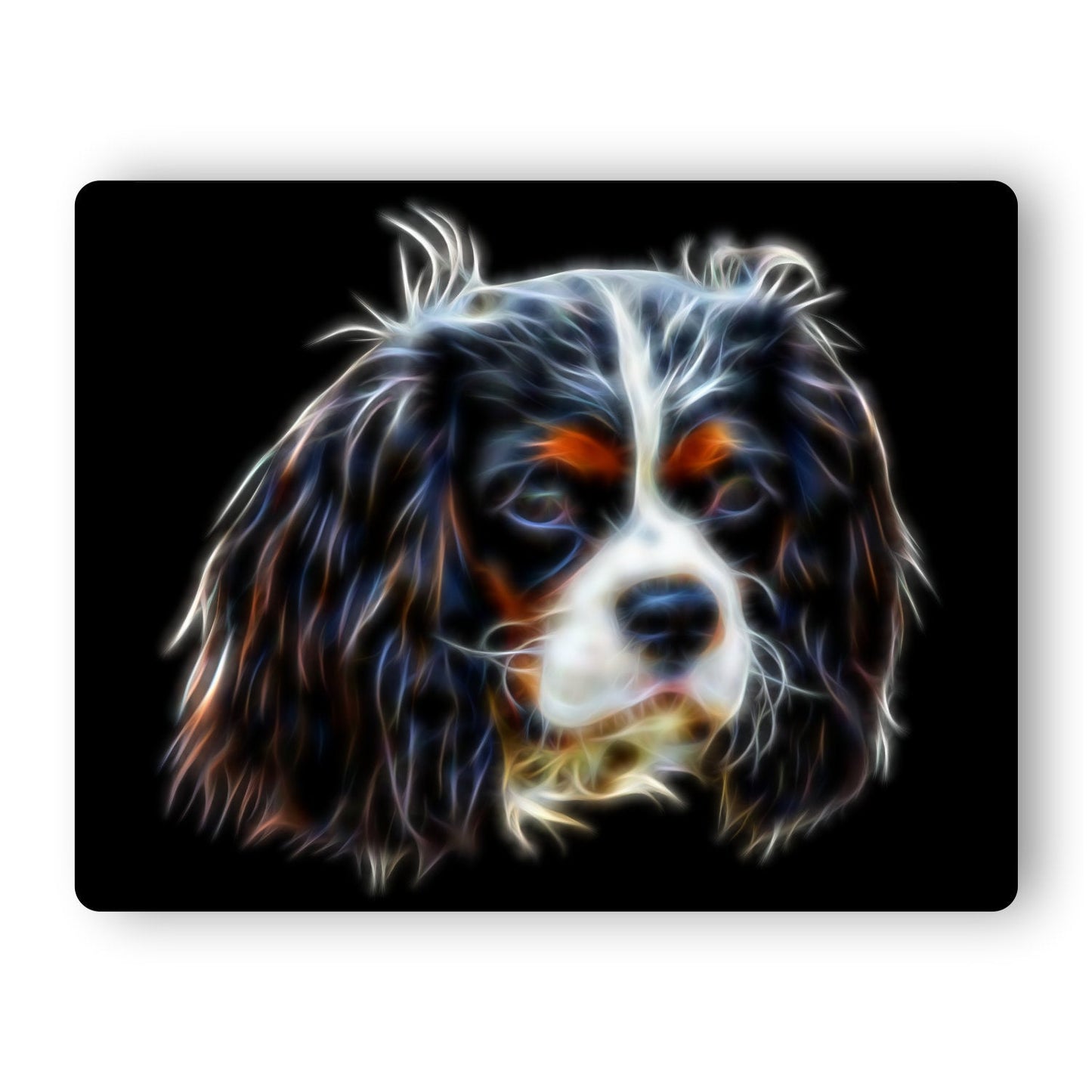 Tri Coloured King Charles Spaniel Metal Wall Plaque. Also available as Mouse Pad, Keychain or Coaster.