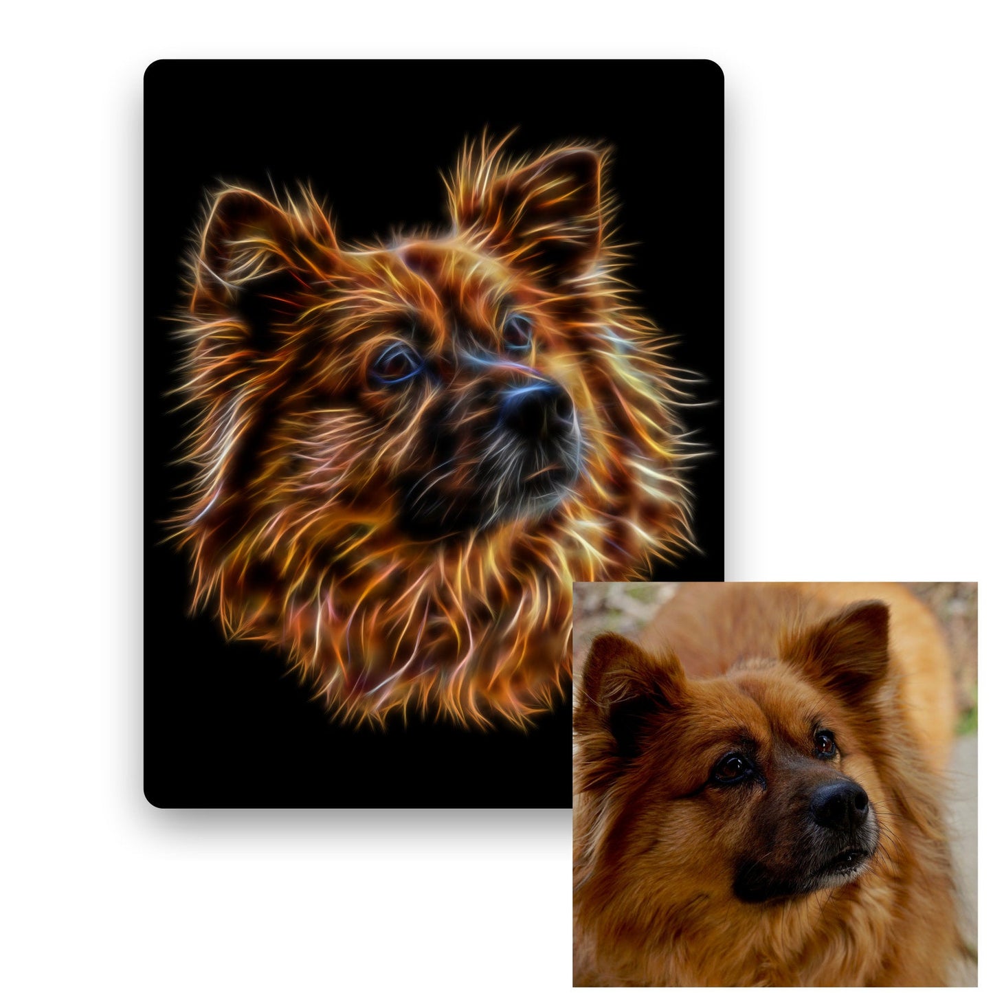 Custom Pet Portrait Dog Portrait Fractal Art Style Printed onto Aluminium Metal Wall Plaque
