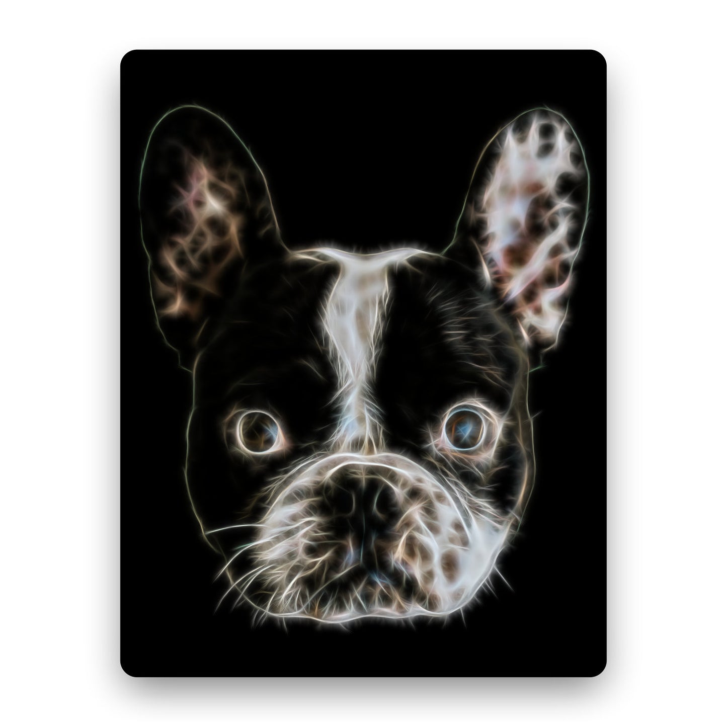 Black and White French Bulldog Metal Wall Plaque with Stunning Fractal Art Design.