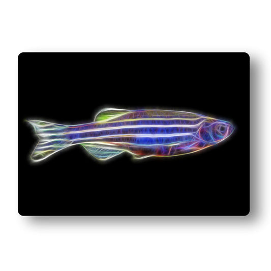 Zebra Danios Fish Metal Wall Plaque with Stunning Fractal Art Design. Also available as Mouse Pad, Keychain or Coaster.