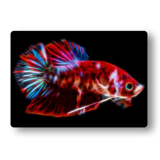 Red and Blue Plakat Betta Metal Wall Plaque