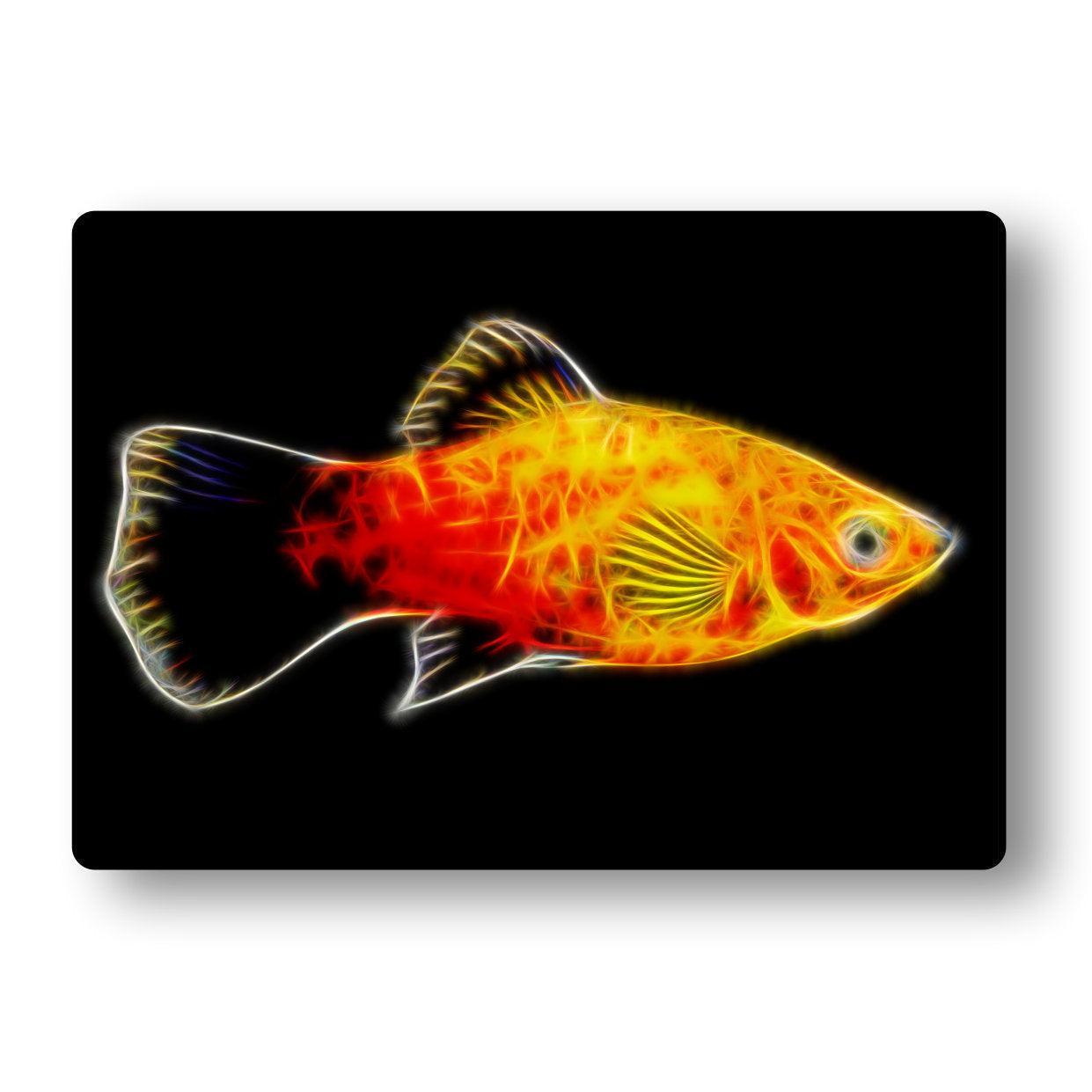 Sunburst Platy Fish Metal Wall Plaque with Stunning Fractal Art Design. Also available as Mouse Pad, Keychain or Coaster.